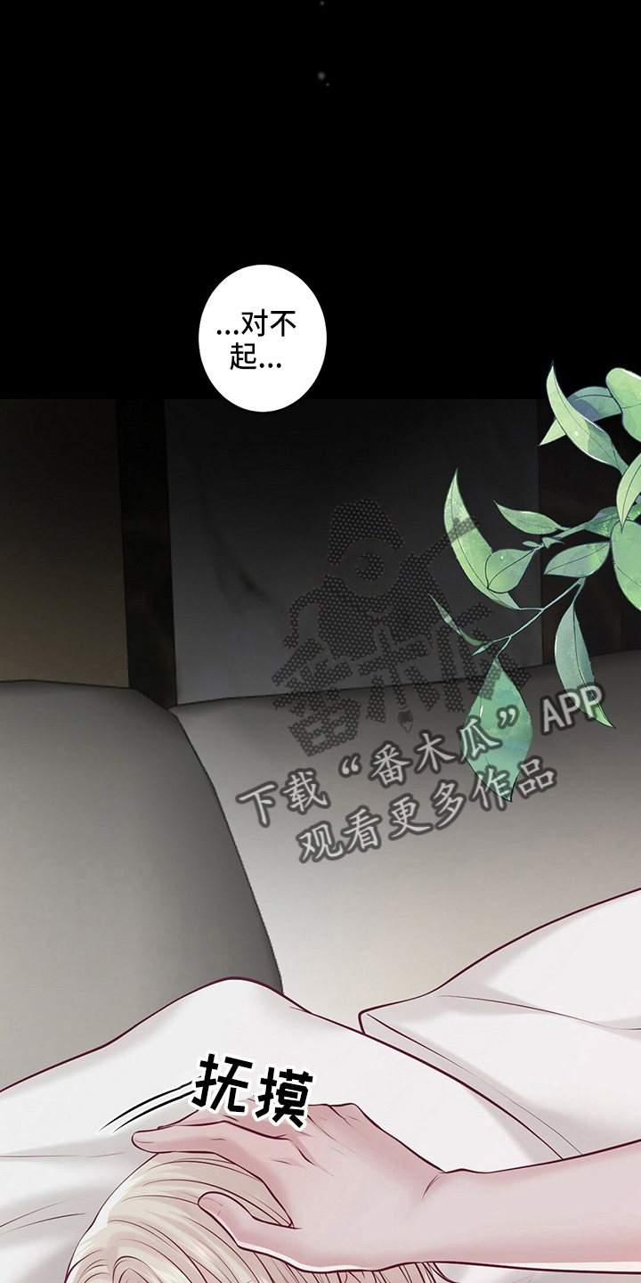 爱豆新星漫画,第43章：对不起3图