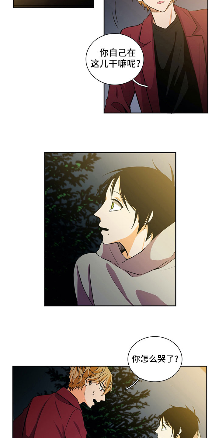 男人的秘密漫画,第25章：酒后表白4图