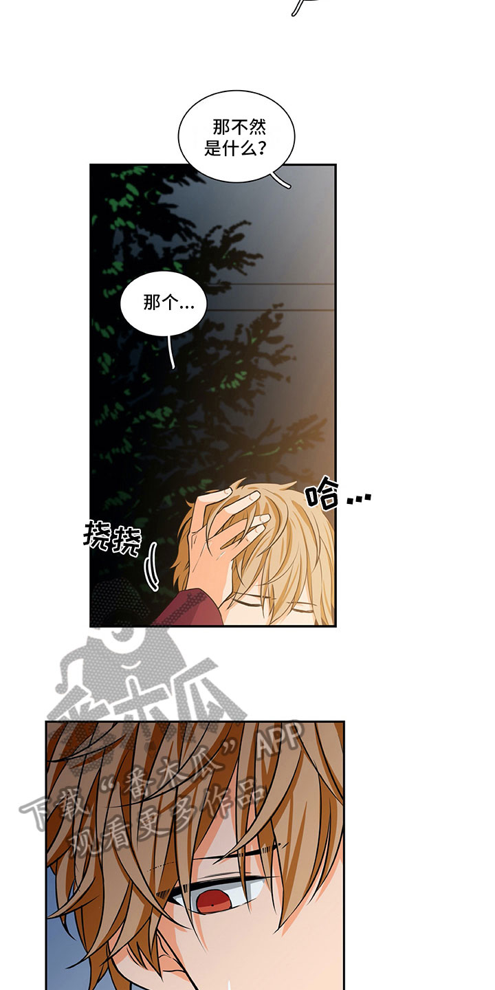 男人的秘密漫画,第25章：酒后表白3图