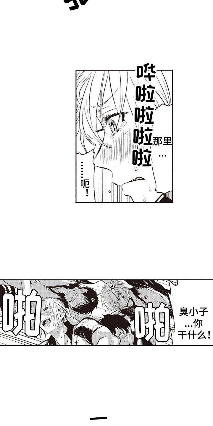橄榄球团宠漫画,第7章：乱套了3图