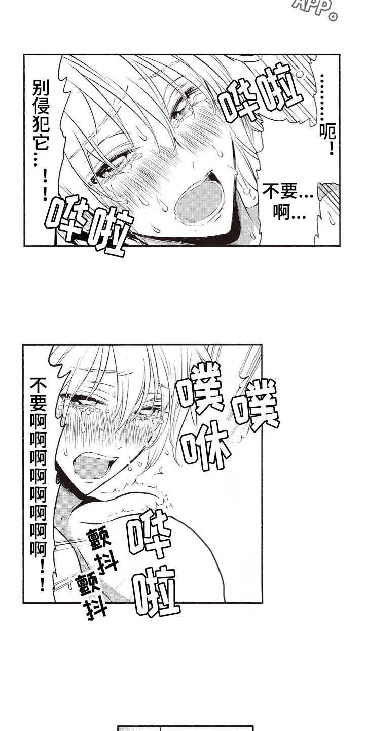 橄榄球团宠漫画,第11章：毛笔4图