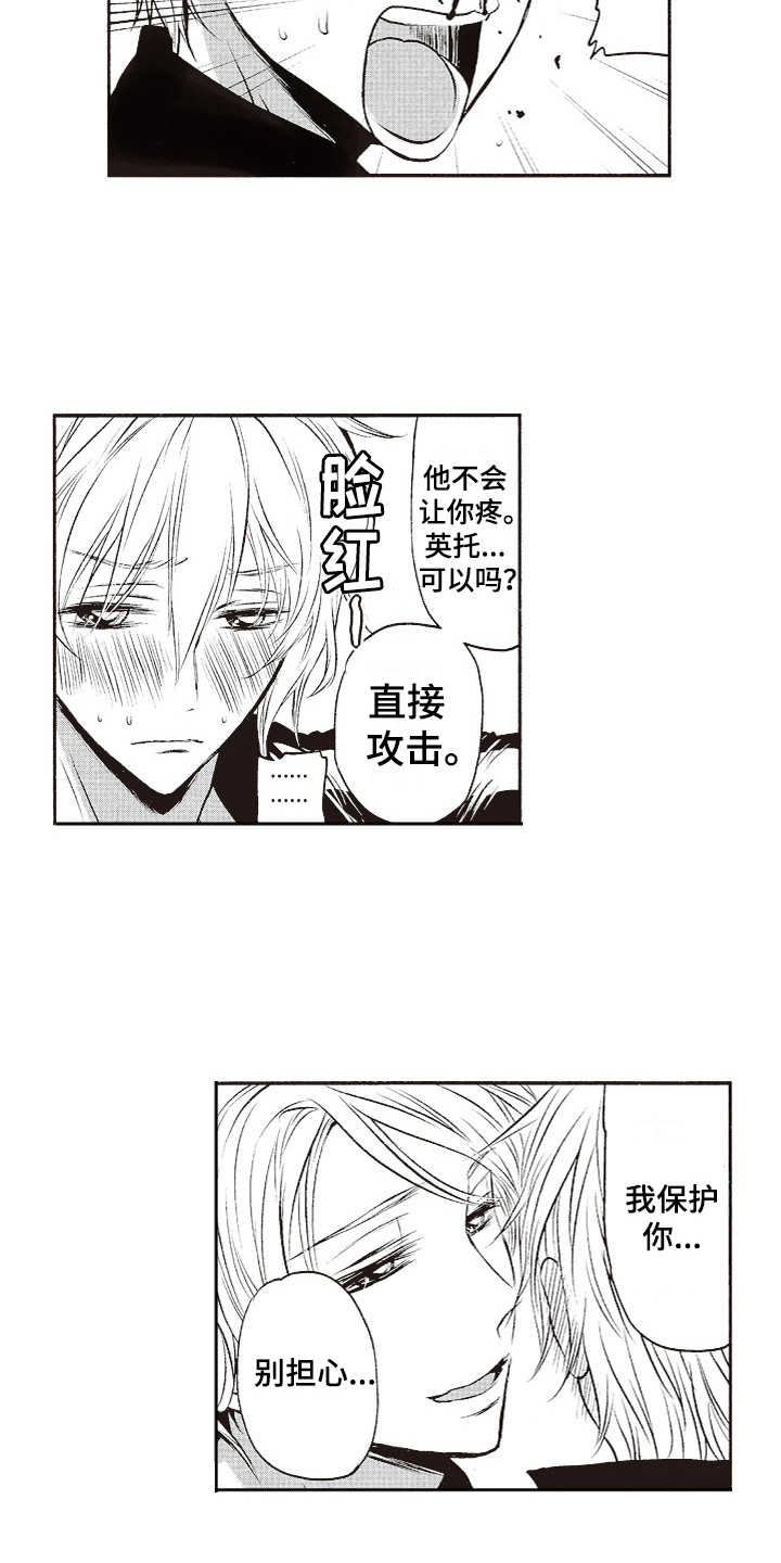 橄榄球团宠漫画,第2章：三角旗2图