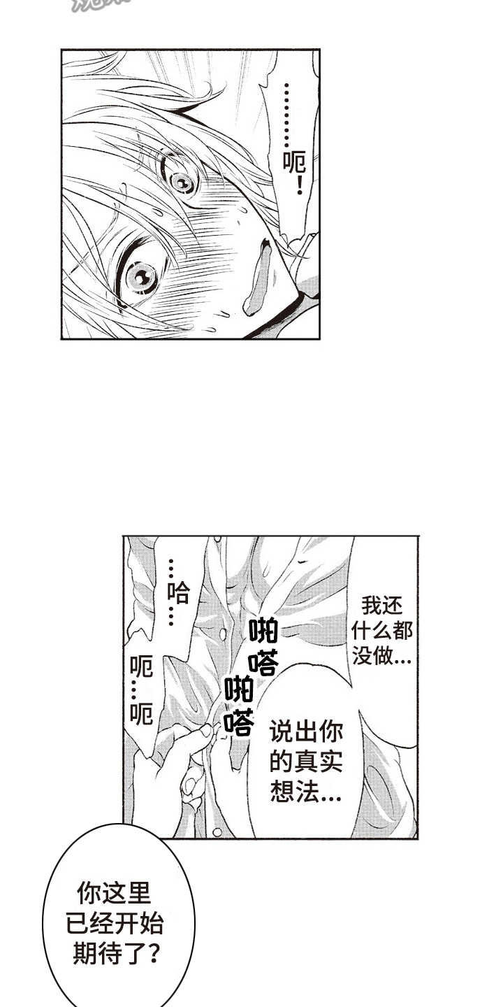 橄榄球团宠漫画,第11章：毛笔2图