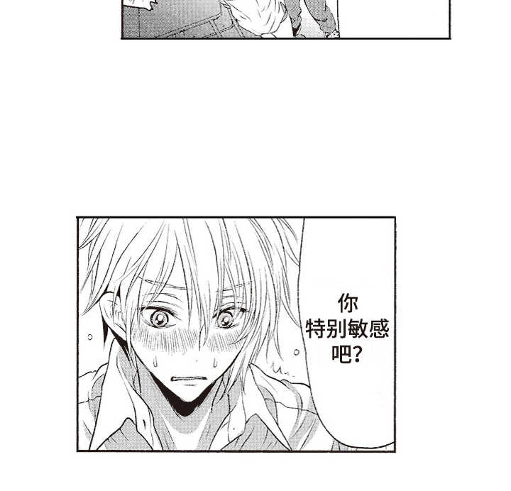 橄榄球团宠漫画,第10章：没有危机感3图