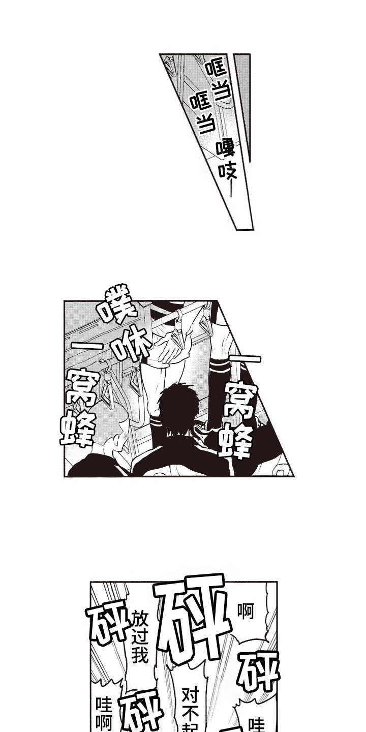 橄榄球团宠漫画,第2章：三角旗4图