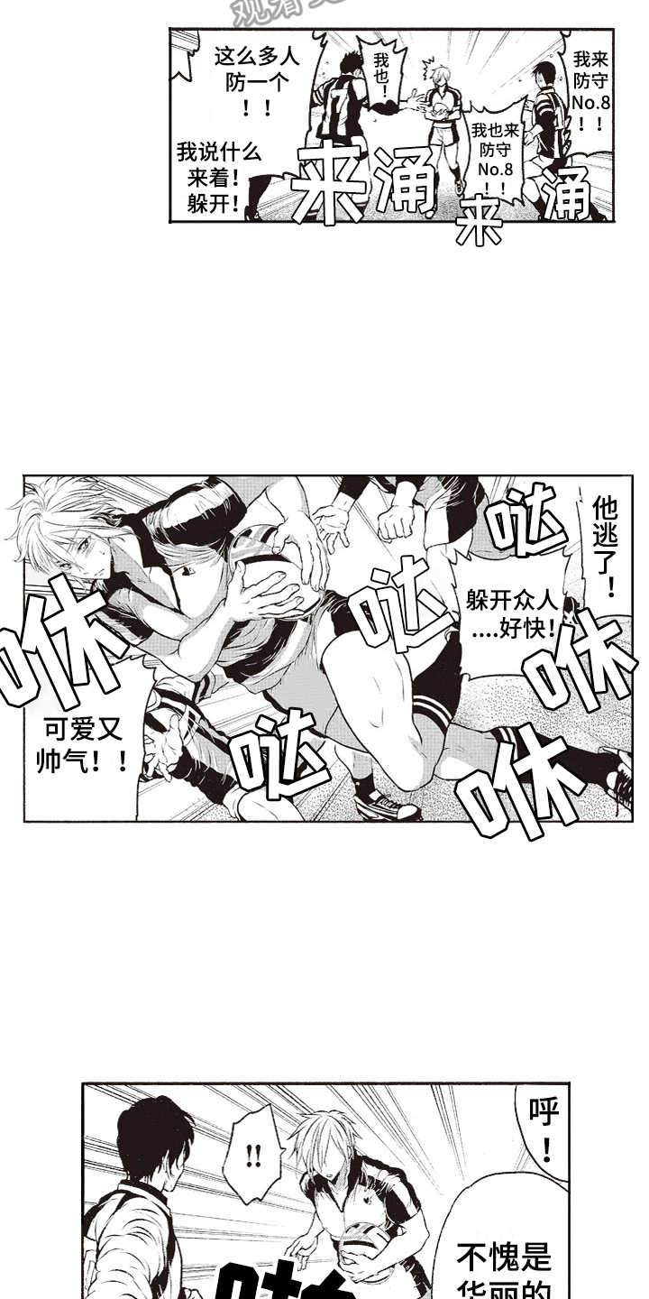 橄榄球团宠漫画,第7章：乱套了2图