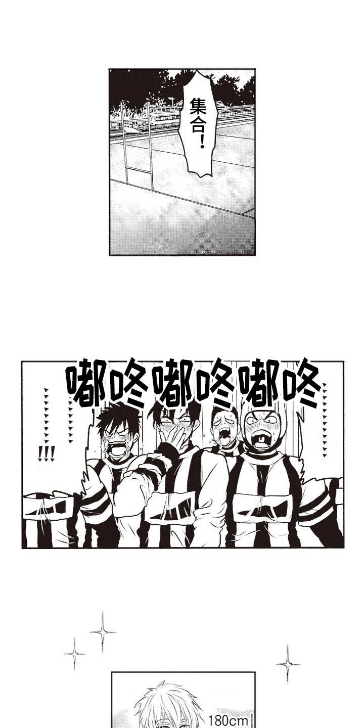 橄榄球团宠漫画,第7章：乱套了1图