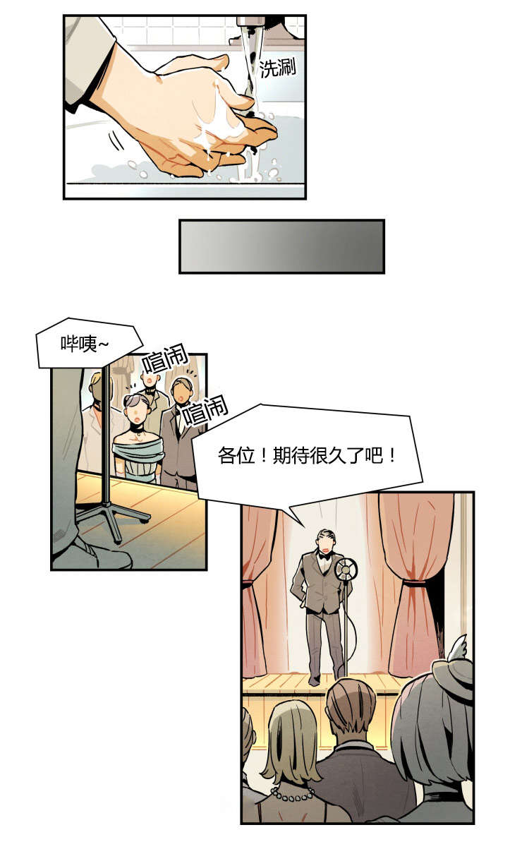 一封遗书小说免费阅读漫画,第3章：罗宾5图