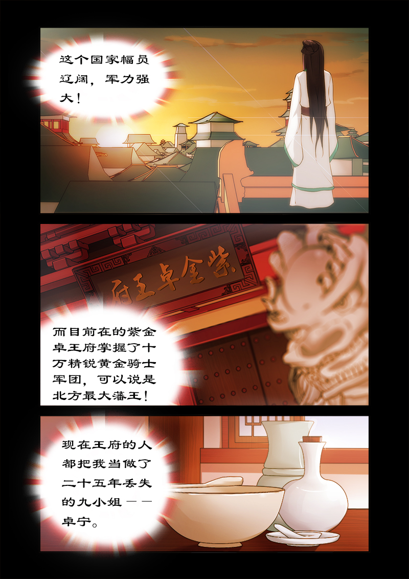 拒绝暴君专宠凶猛王妃漫画免费下拉式漫画,第9章：飞来的四哥2图