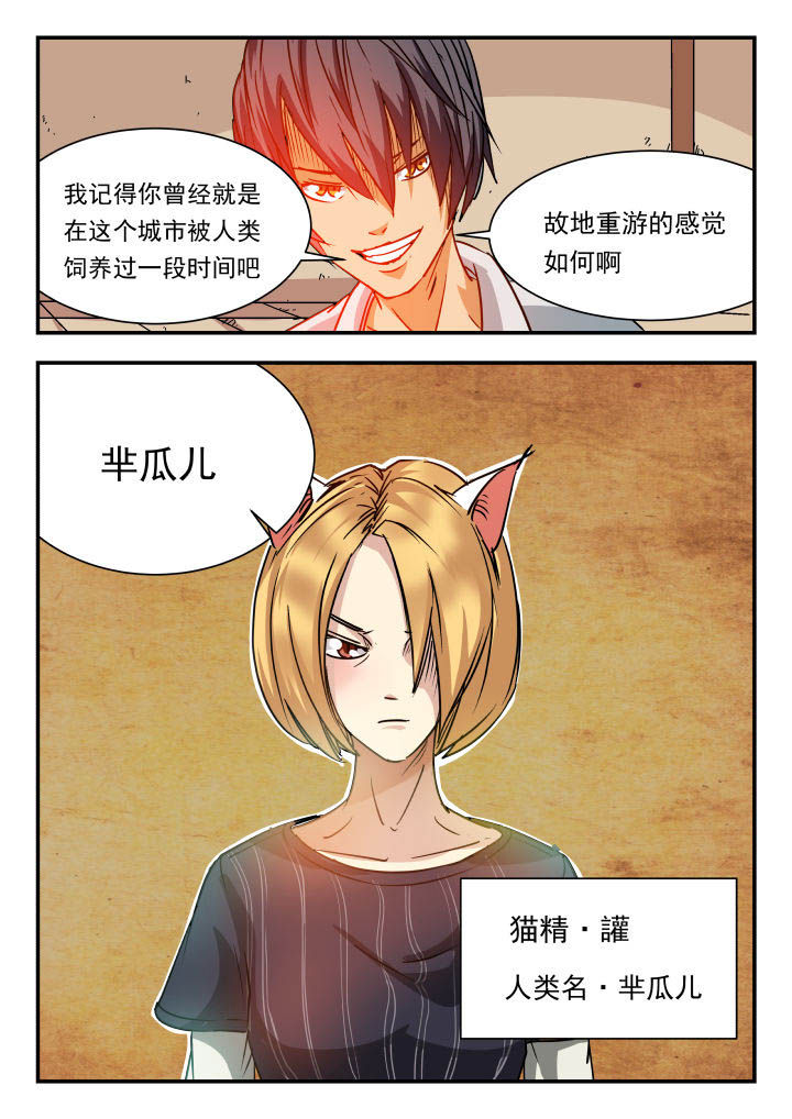 妖书录漫画作者是谁漫画,第82章：3图