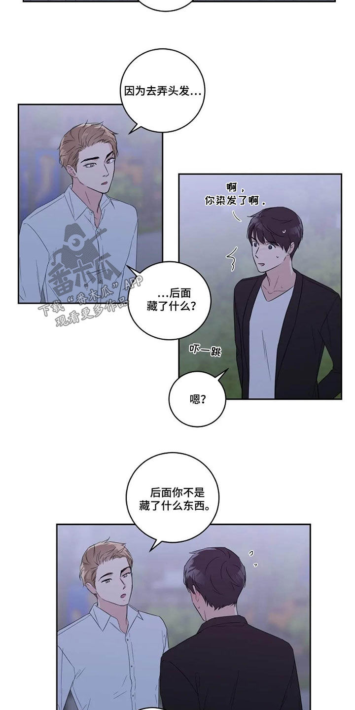恋爱理论漫画,第43章：正式3图