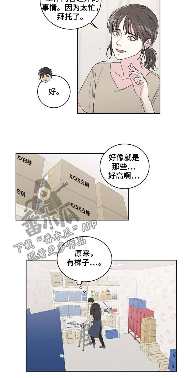恋爱理论漫画,第29章：受伤3图
