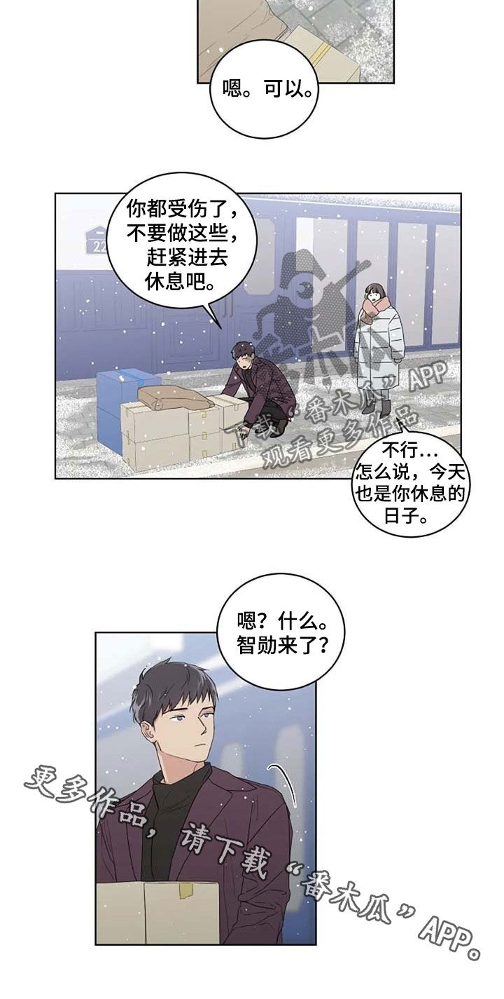 恋爱理论漫画,第29章：受伤4图