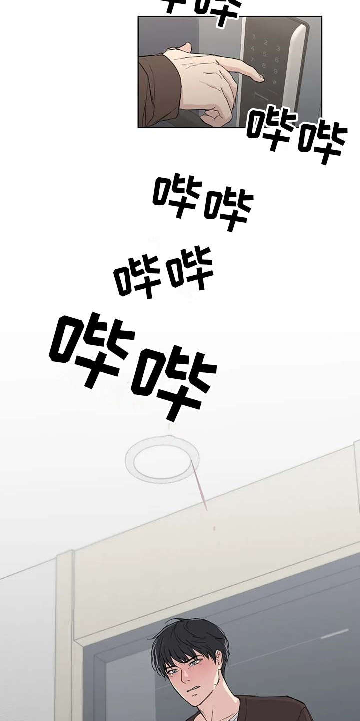 恋爱理论漫画,第17章：睡不着3图