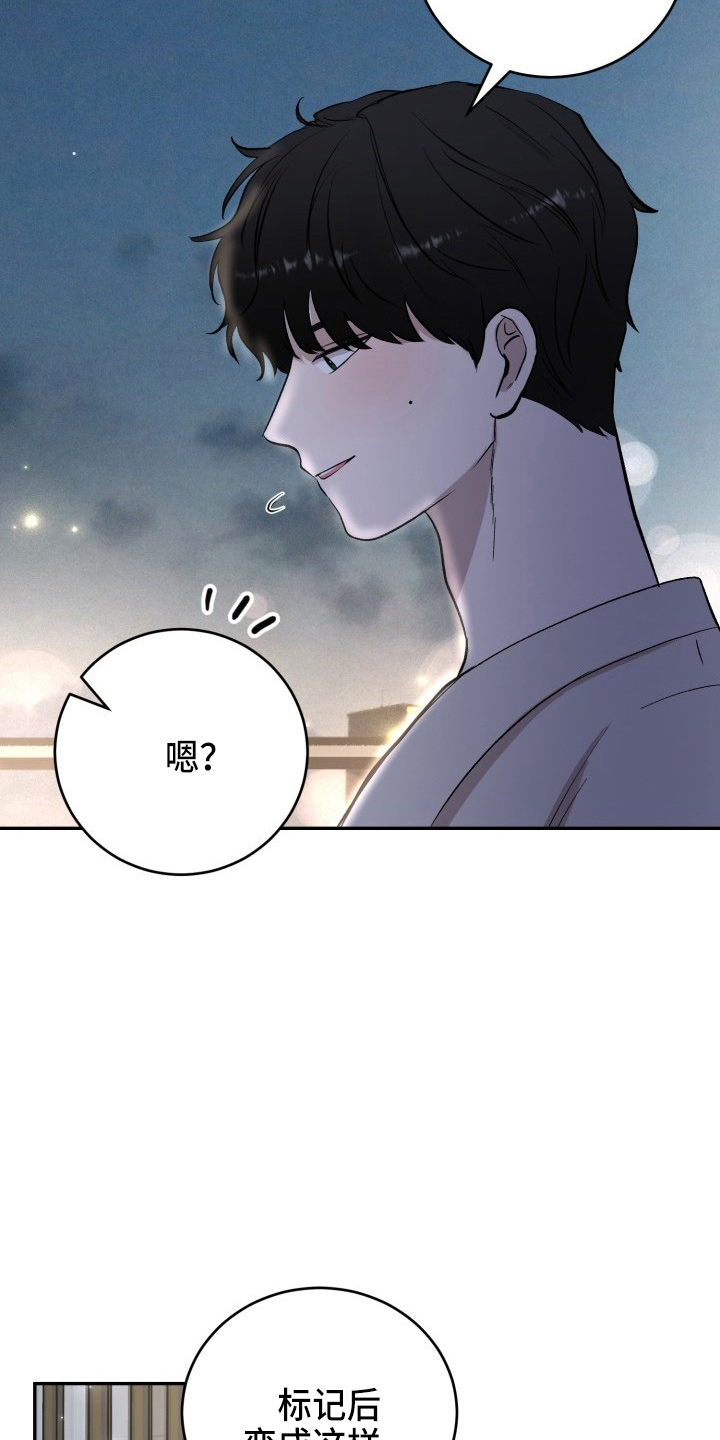 标记阿尔法漫画,第40章：项链3图