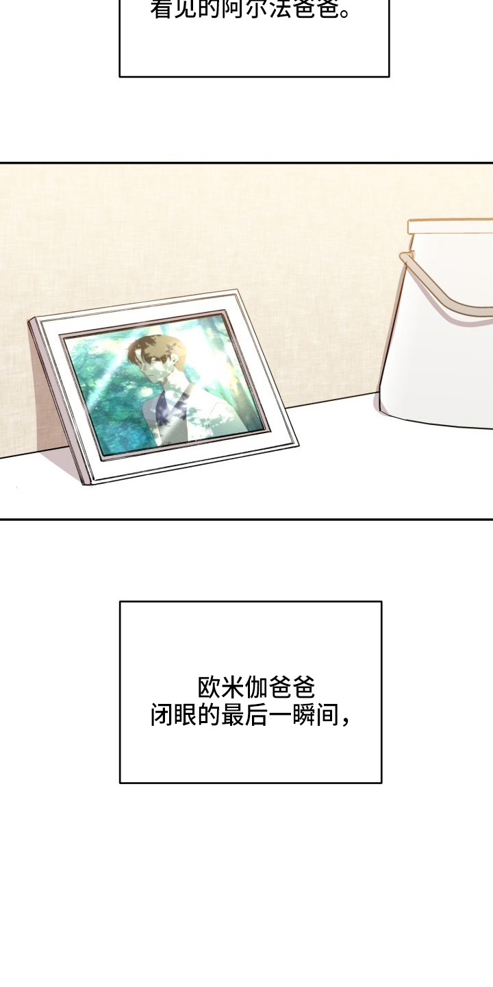 标记阿尔法漫画,第41章：私生子5图