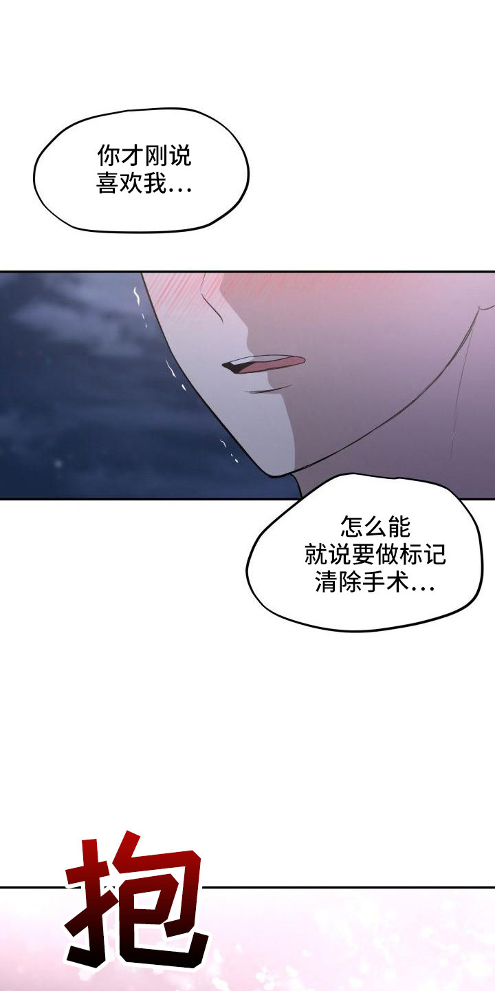 标记阿尔法漫画,第51章：等我2图