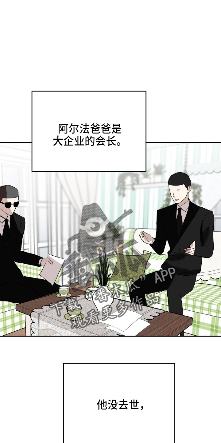 标记阿尔法漫画,第41章：私生子5图