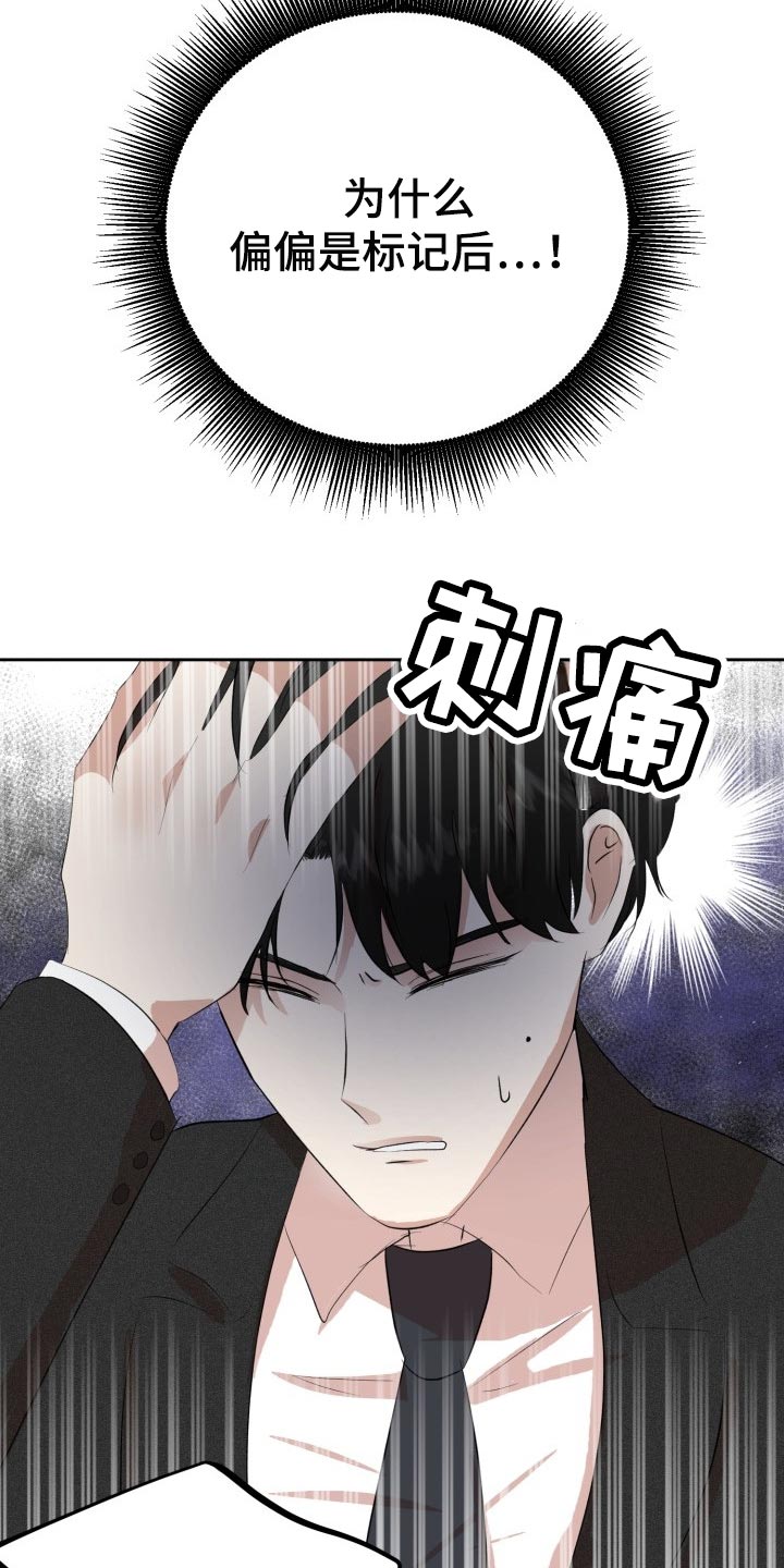 标记阿尔法漫画,第25章：突然头痛2图