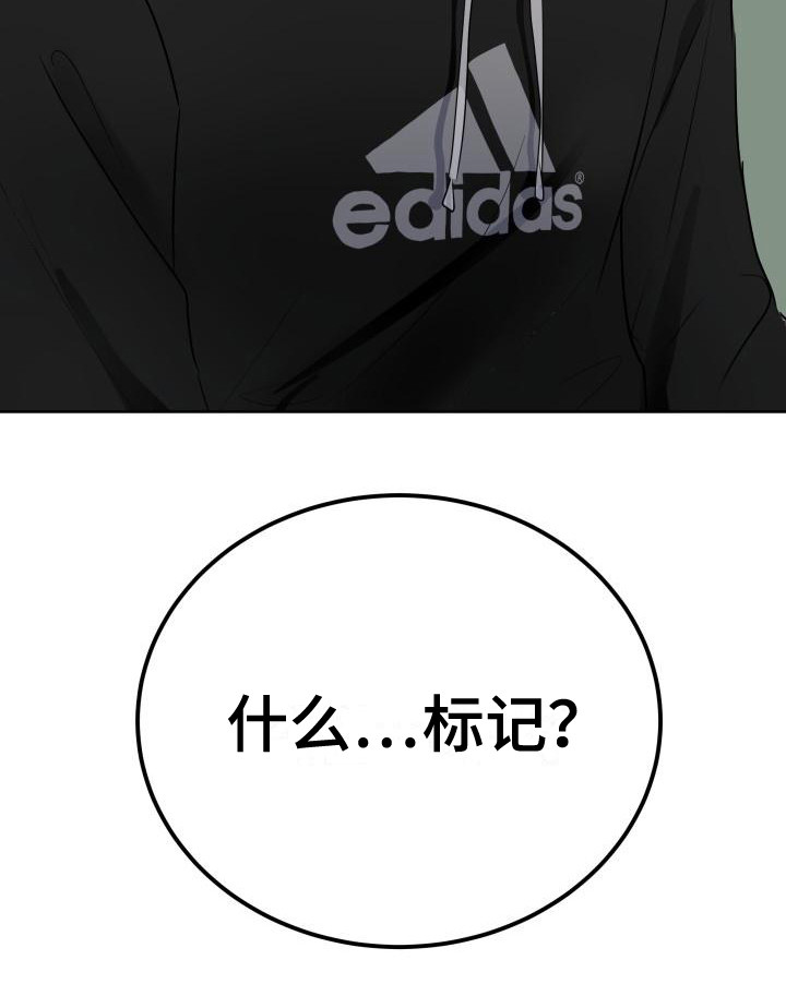 标记阿尔法漫画,第3章：被标记2图