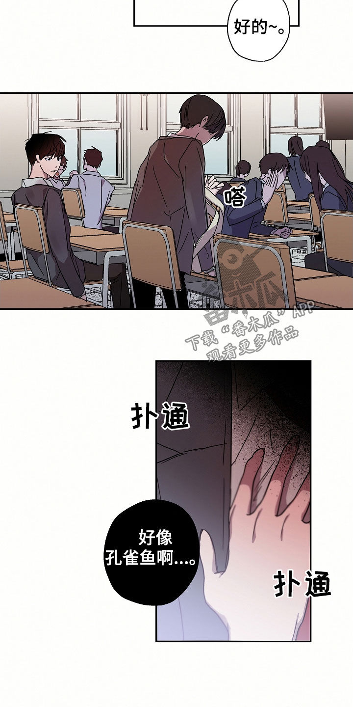 复学风波漫画漫画,第20章：转学生3图