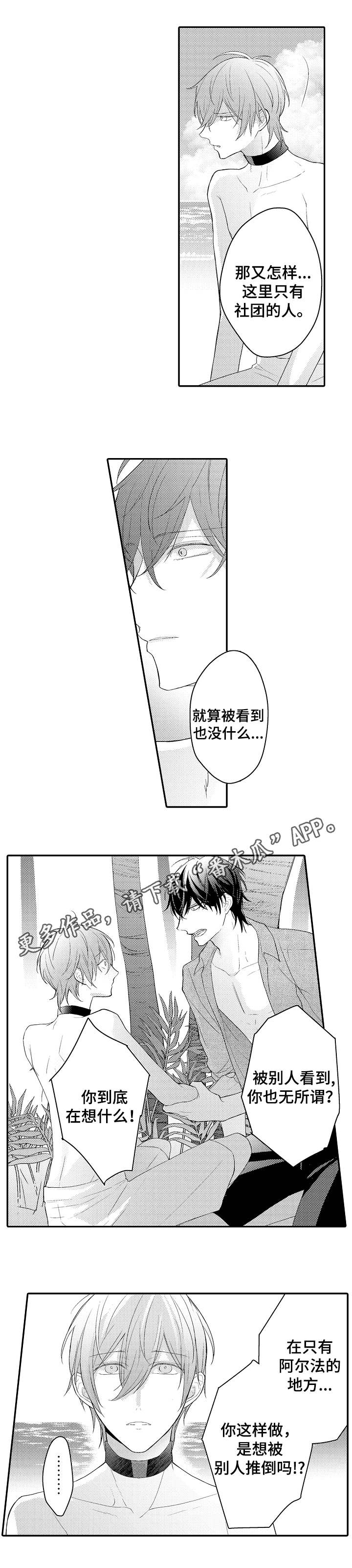 欧米伽社团漫画,第18章：何去何从3图