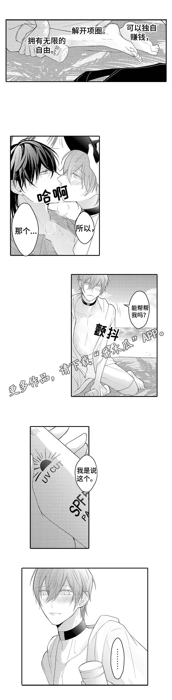 欧米伽社团漫画,第18章：何去何从4图