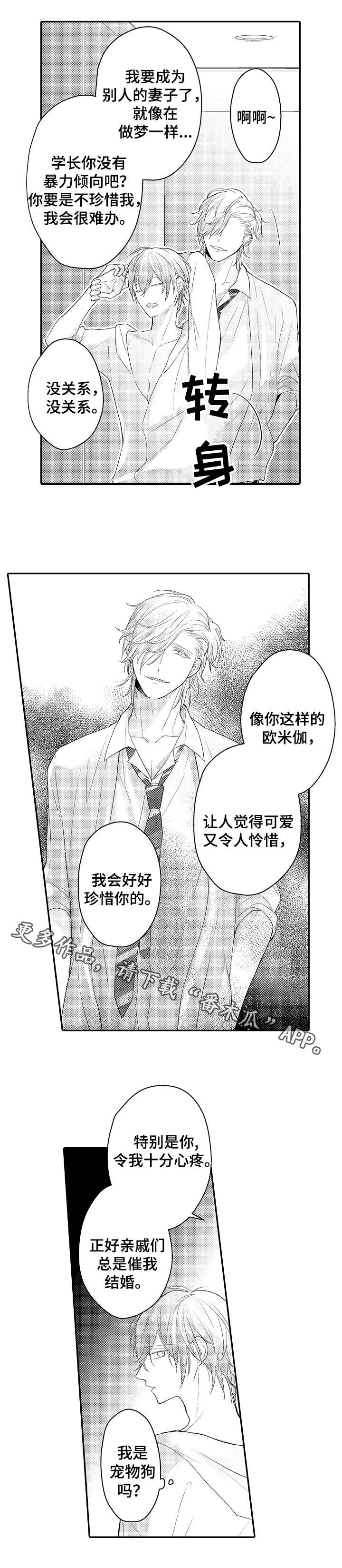 欧米伽社团漫画,第22章：宠物1图