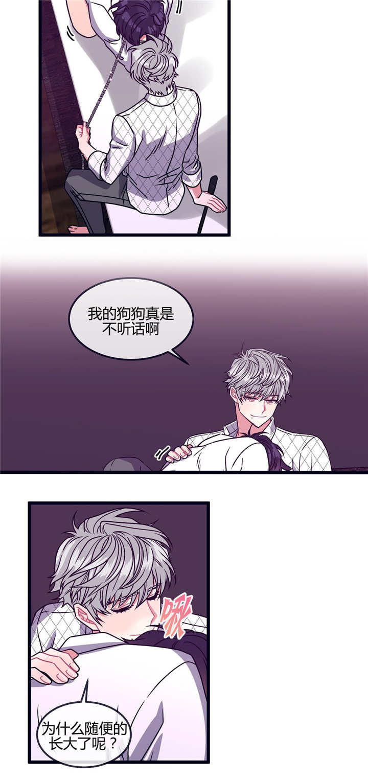 萌犬小白漫画,第22章：不听话呢2图