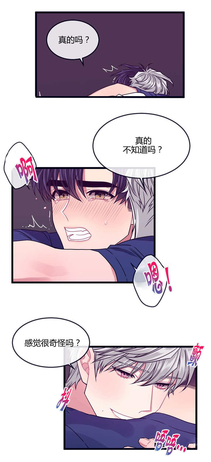 萌犬小白漫画,第13章：是这里吗2图