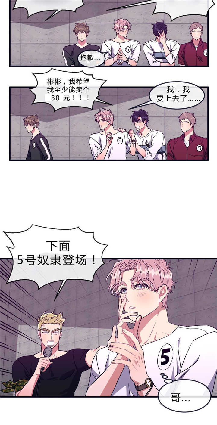 萌犬小白漫画,第40章：庆典拍卖5图