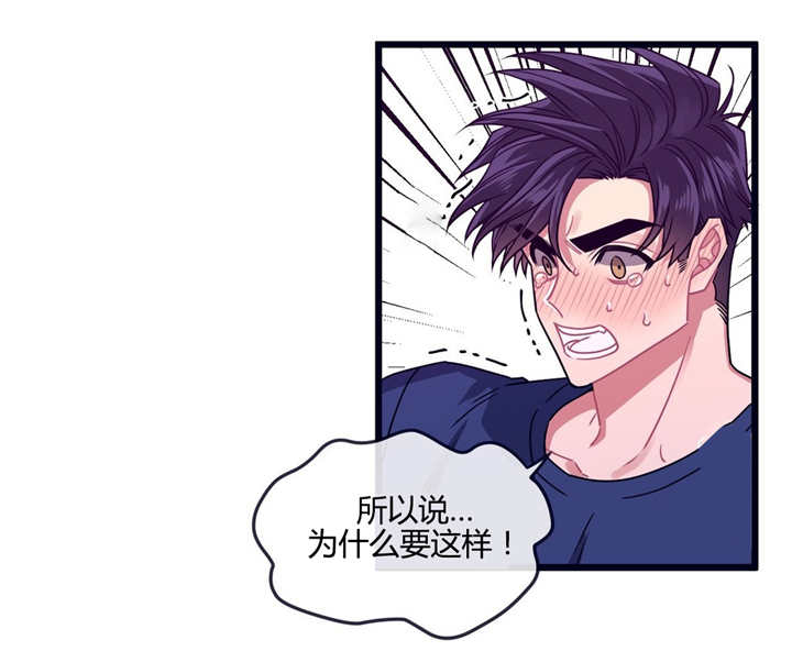 萌犬小白漫画,第13章：是这里吗5图