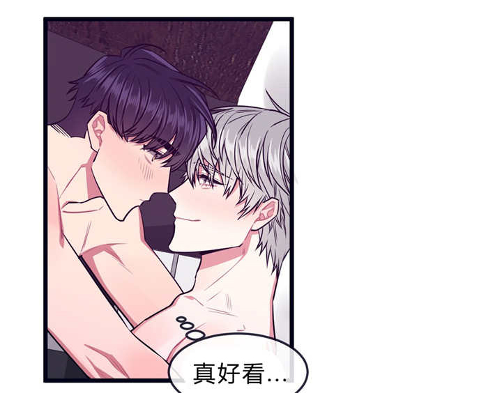 萌犬小白漫画,第34章：不回来了4图