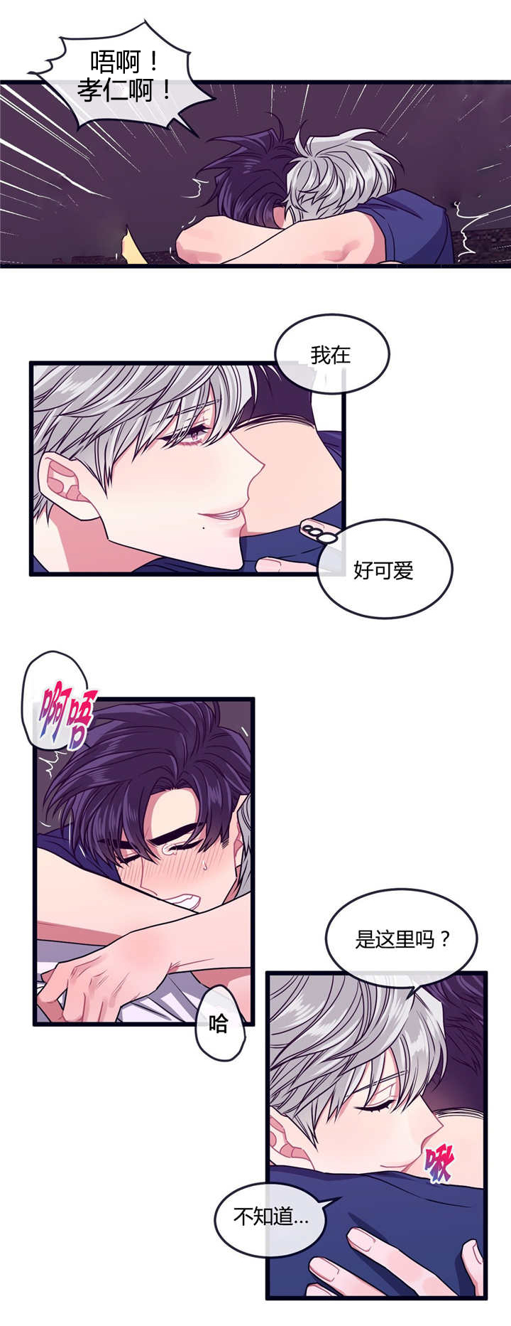 萌犬小白漫画,第13章：是这里吗1图