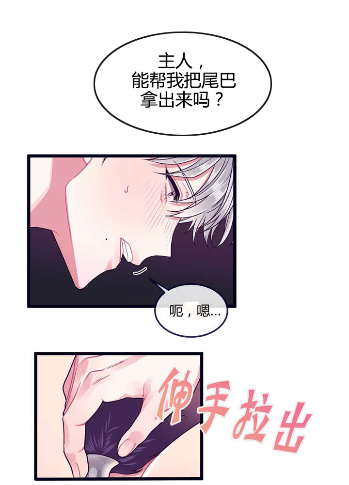 萌犬小白漫画,第23章：被牵着走2图