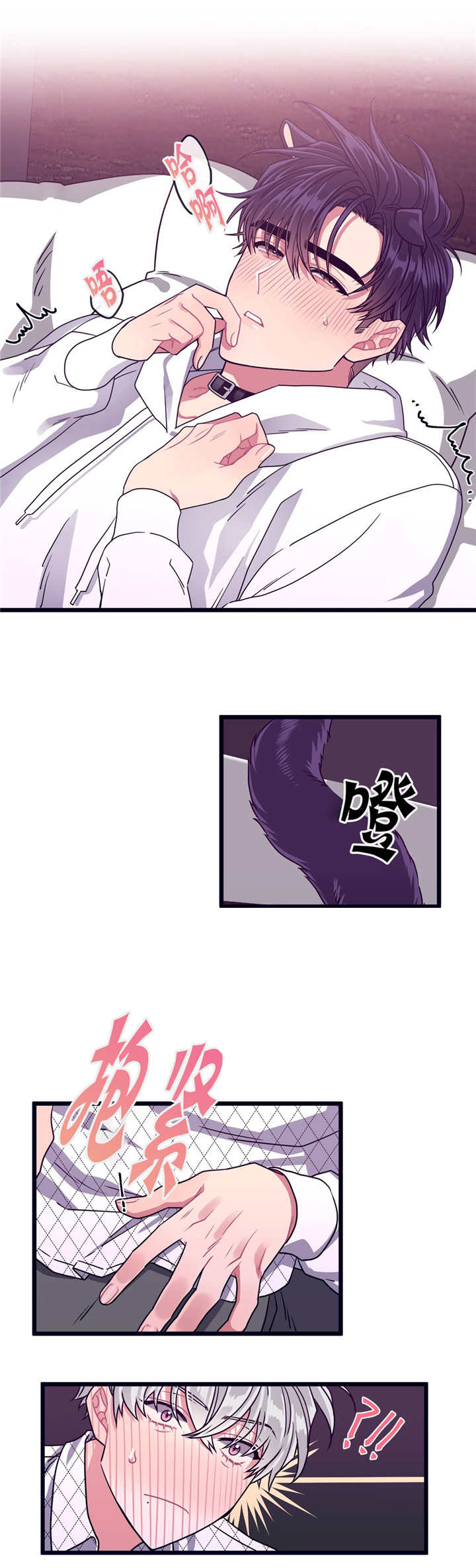 萌犬小白漫画,第23章：被牵着走3图