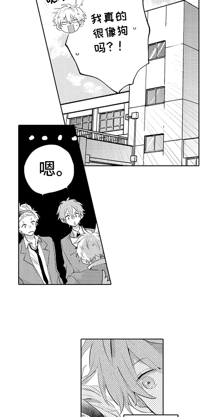 无法隐藏的爱漫画,第1章：分手5图