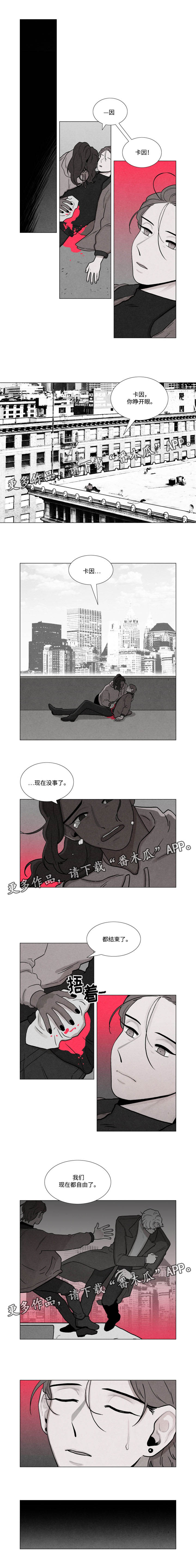落幕山茶花南晚意漫画,第29章：暗杀5图
