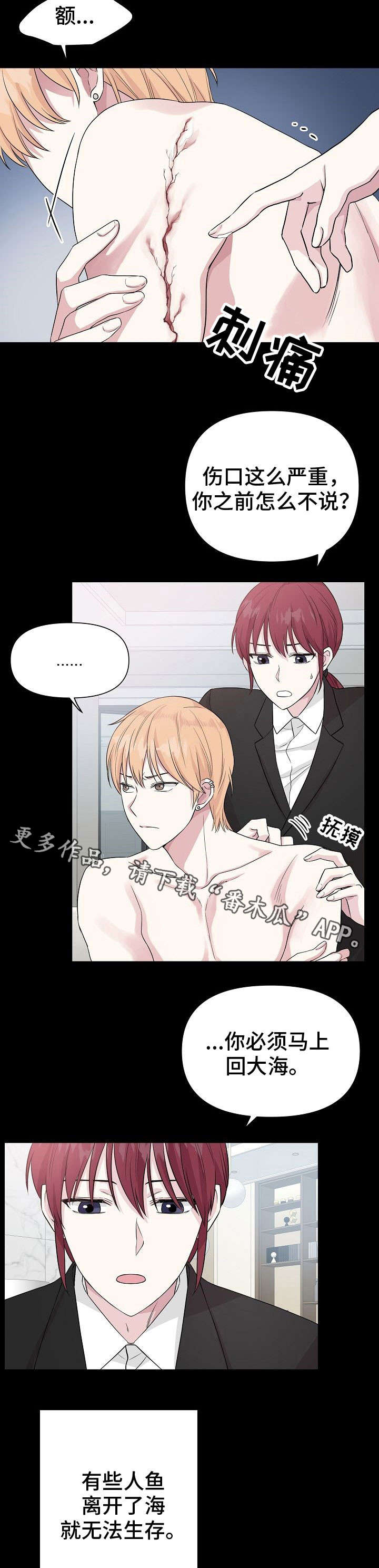 深海低语漫画,第24章：警告4图