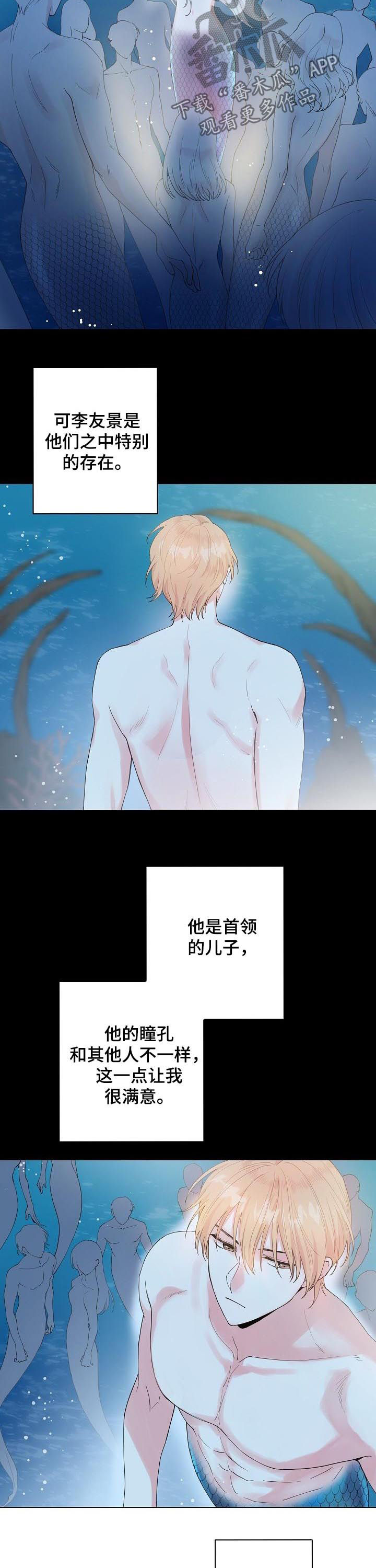 深海低语漫画,第91章：【第二季】付出代价4图
