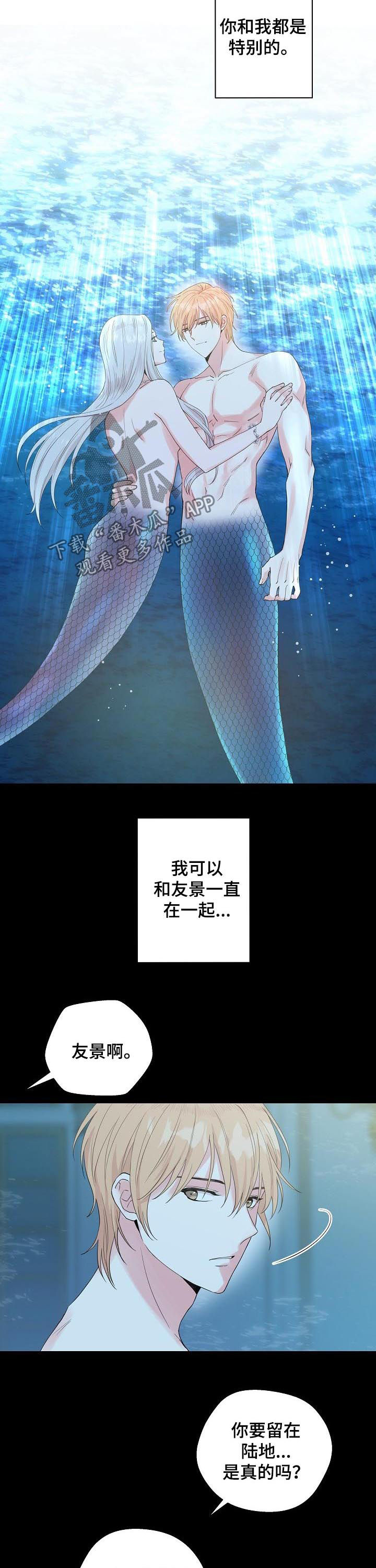 深海低语漫画,第91章：【第二季】付出代价5图