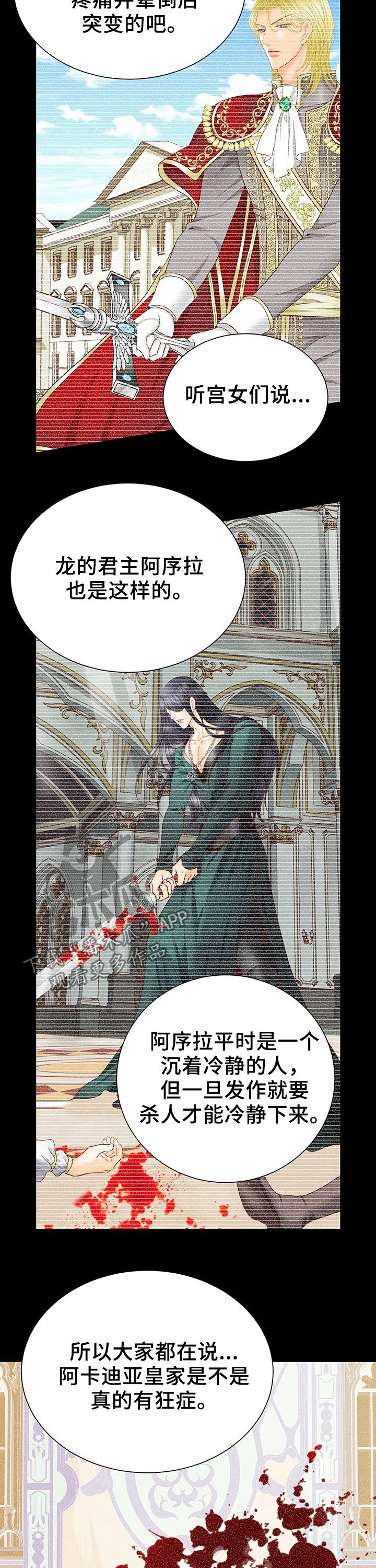 玲珑之心漫画,第120章：奇怪的公女2图