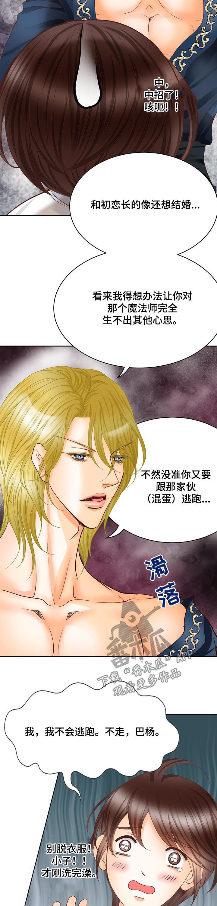 玲珑之心漫画,第106章：跟踪2图