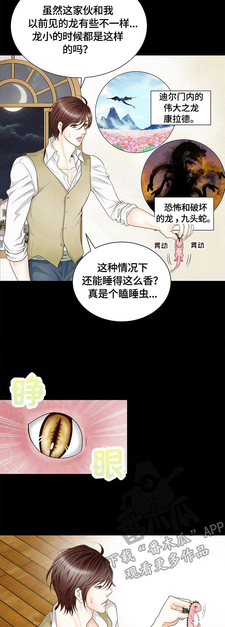 玲珑之心的意思是什么漫画,第3章：刺客5图