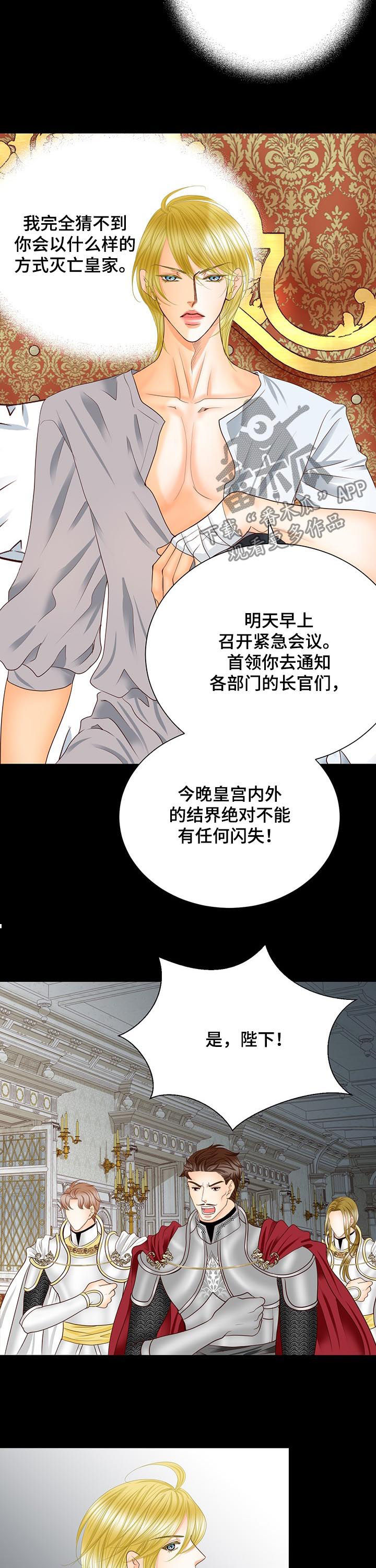 玲珑之心漫画,第94章：预言3图