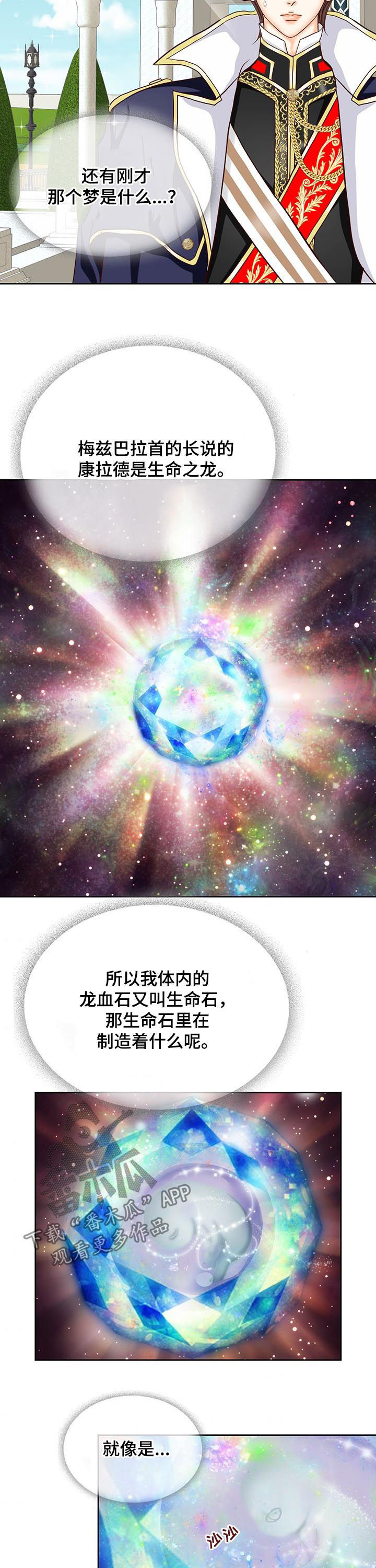 玲珑之心的意思是什么漫画,第143章：番外：生命石的异常3图