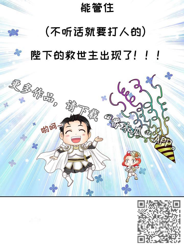玲珑之光怎么搭配阵容漫画,第86章：救世主2图