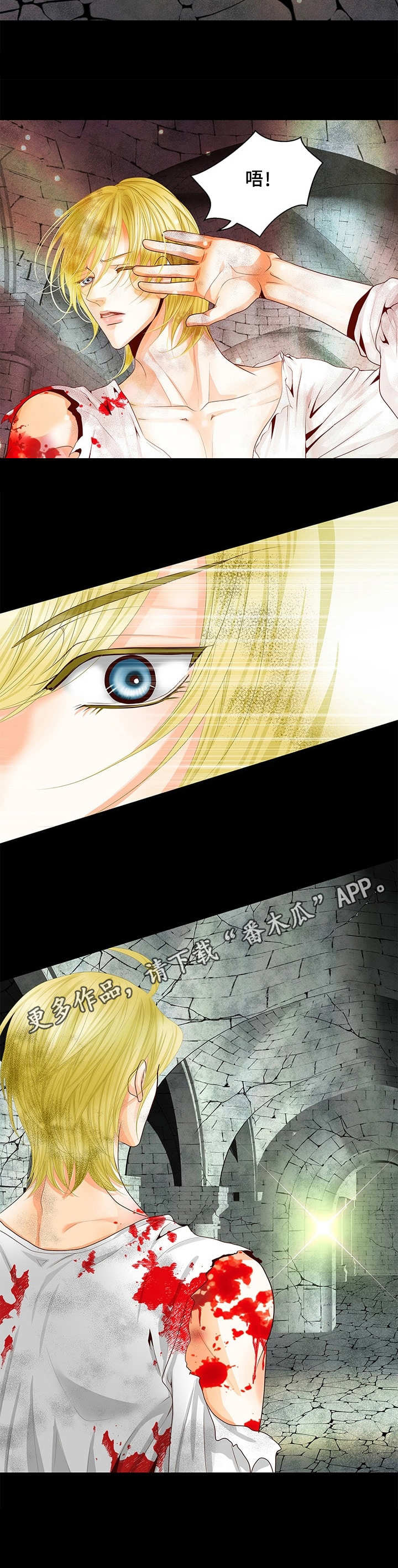 玲珑之心漫画,第46章：难以置信5图