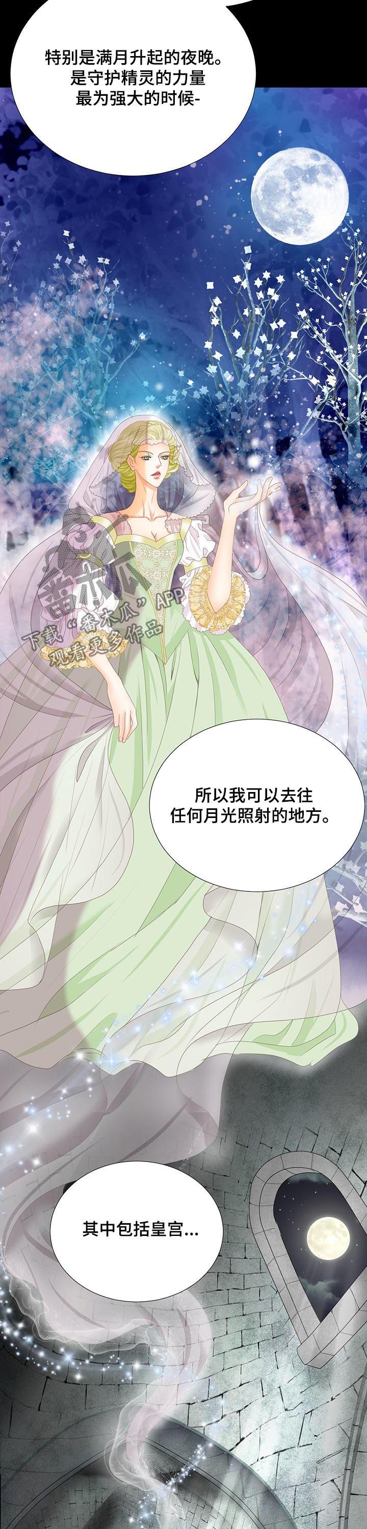 玲珑之心漫画,第106章：跟踪4图