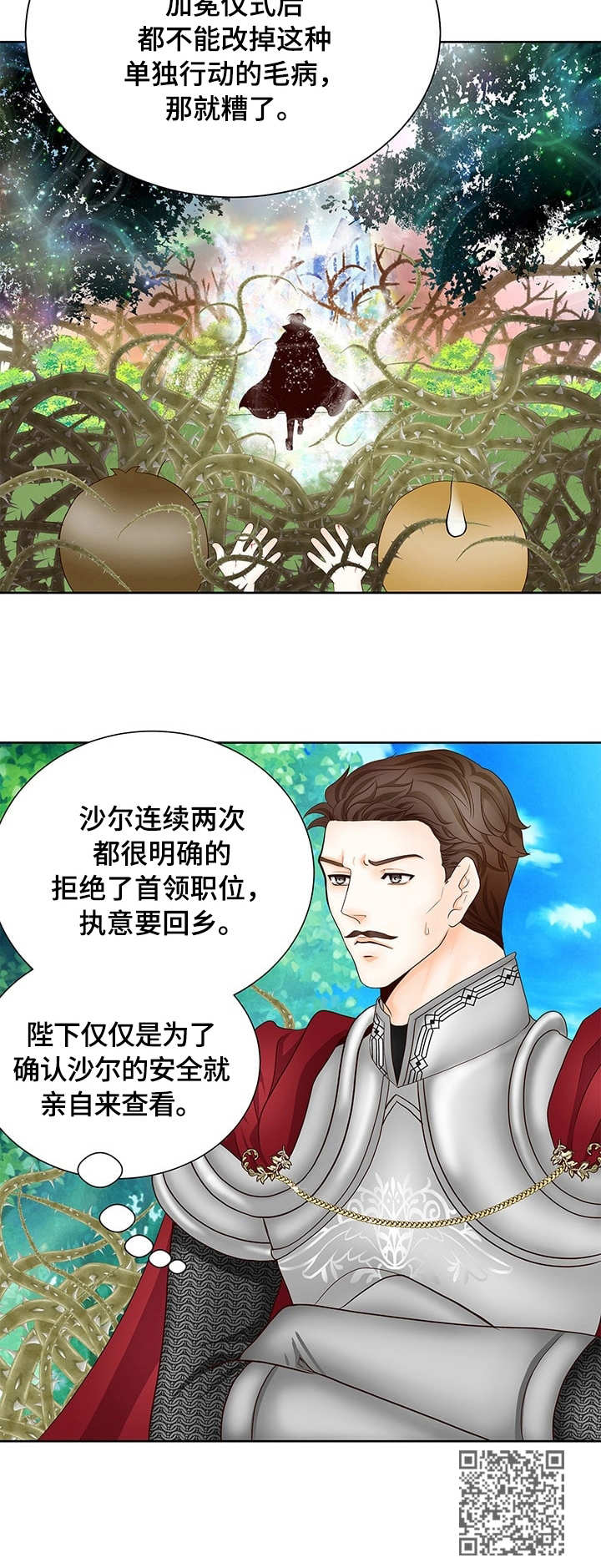 玲珑之心漫画,第16章：沙尔2图